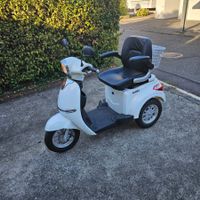 Elektromobil Yadea dreirädrig weiss mit Korb gebraucht