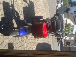 Pet Trike Elektro