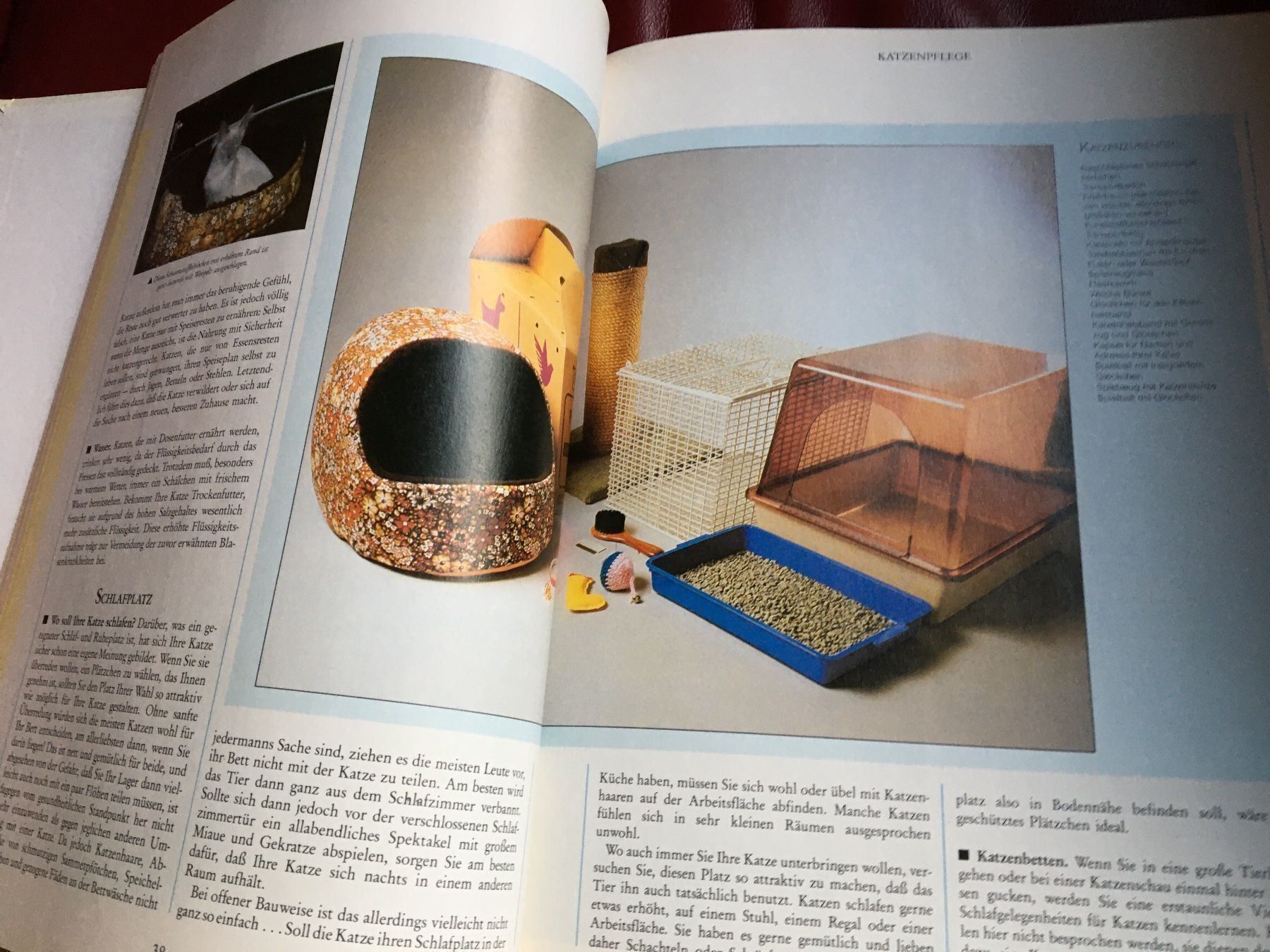 Libri: Kätzchen Katzen und Kater – Usato da Arth venduto da Vrecam51 2