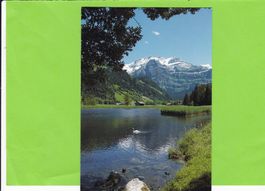 Lenk-Lenkerseeli