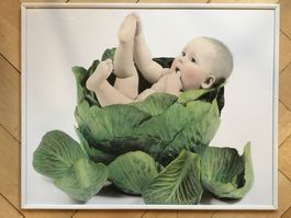 Süsses Bild mit Baby in weissem Rahmen