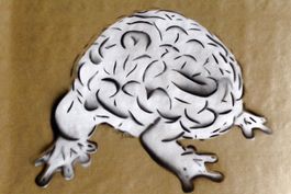 KAZOTO SHINTO (Japan, *1960) Künstlerhirn / Artist Brain