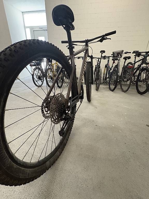 Velos: Specialized Rockhopper XL – Gebraucht aus Mollis von dis_d5t2 1
