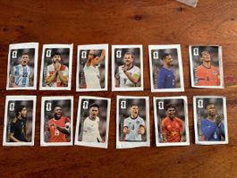 Coca cola panini 12 verschiedene 