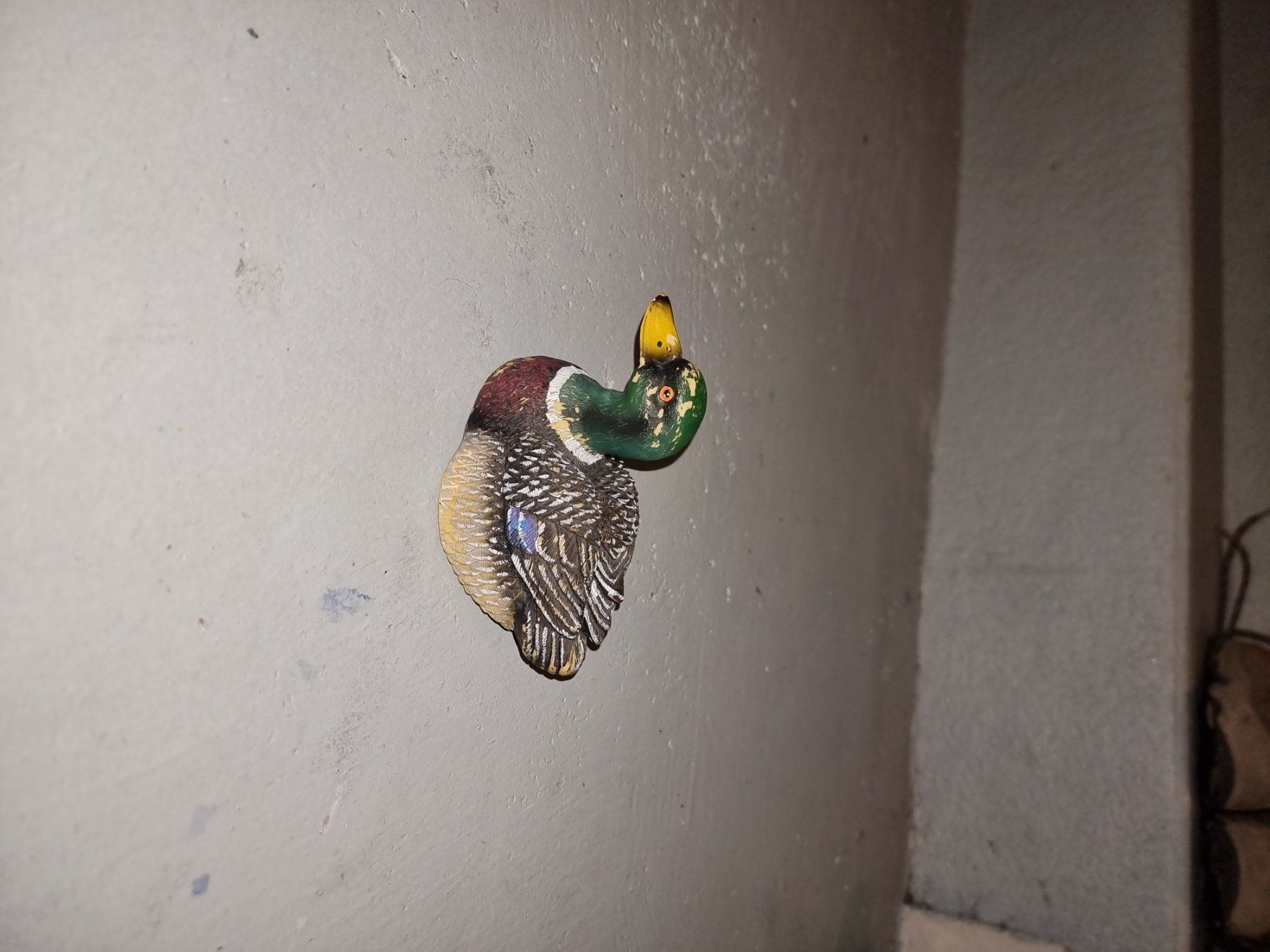 Tutte le decorazioni: Künstliche Ente – Usato da Hausen AG venduto da 1stok 1