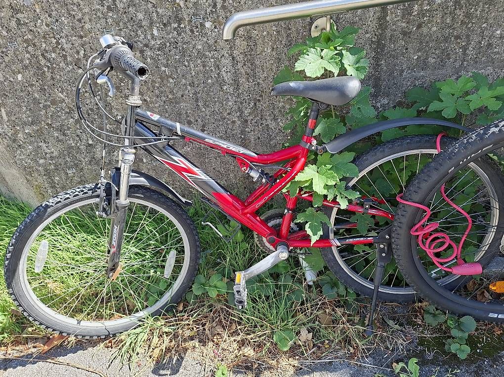 Vélos: Kindervelo – D'occasion à Wald AR par nws_q2w5