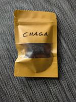 Chaga Pilz Tee Heilkunde Krebs