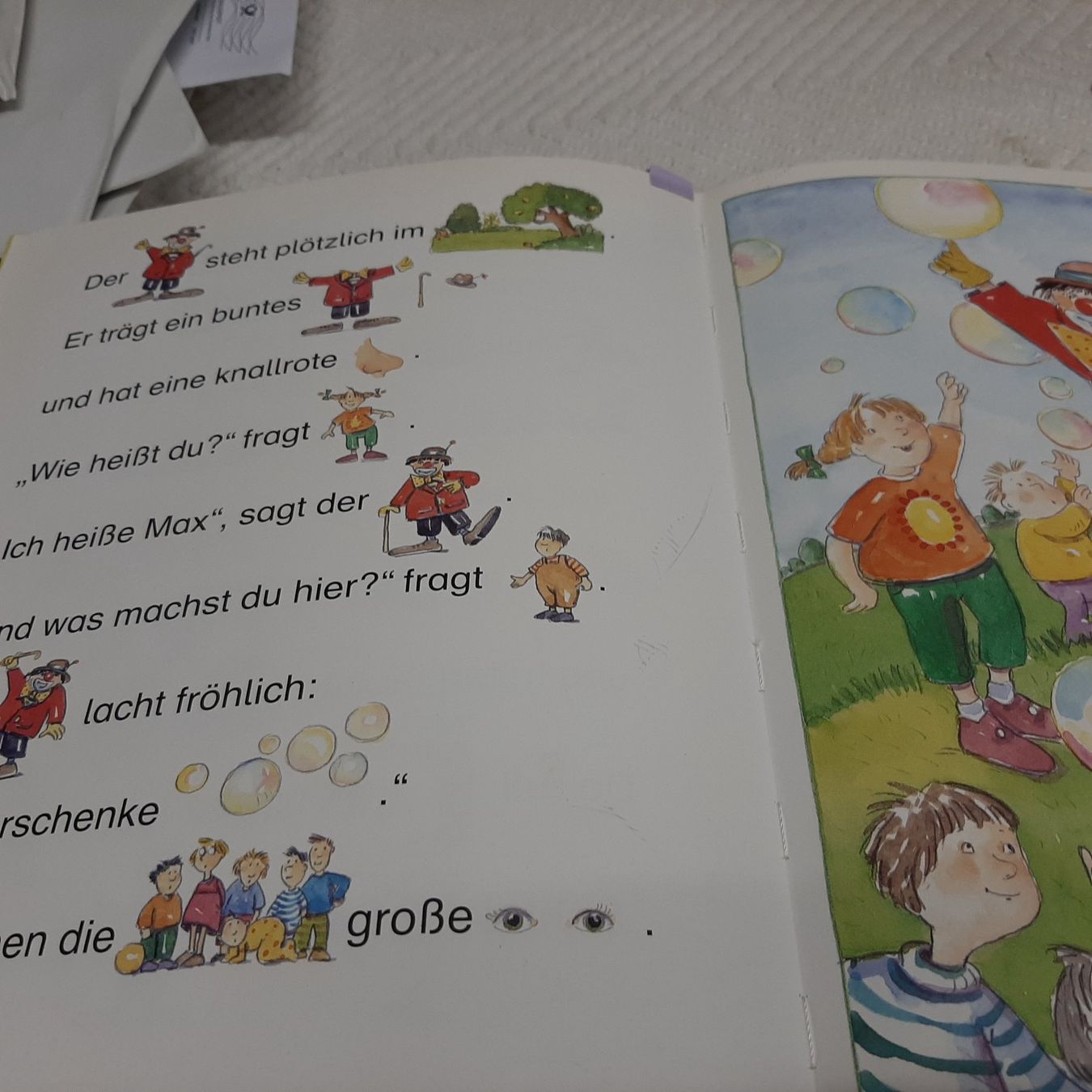Libri: Nele hat Geburtstag – Usato da Zürich venduto da Schoebi19 6
