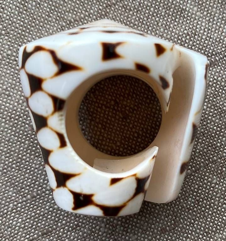 Bagues: Ring aus Muschel  – D'occasion à Dielsdorf par bar_7t27 2