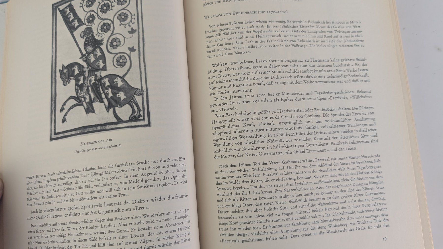 Libri: Geschichte der deutschen Literatur – Usato da Zürich venduto da axolottchen 7