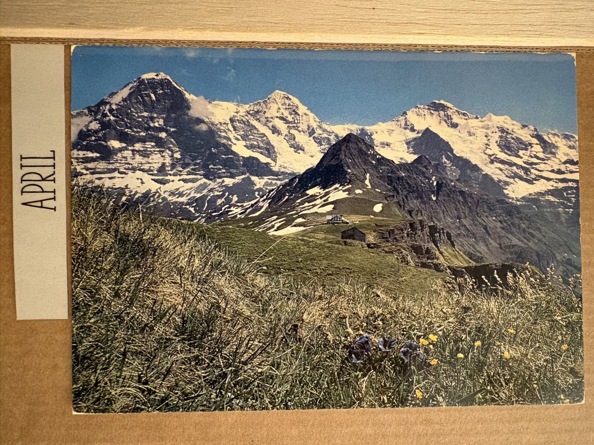 Cartoline postali: AK von Männlichen / Eiger Mönch Jungfrau – Usato da Rümlang venduto da Kartenpost1