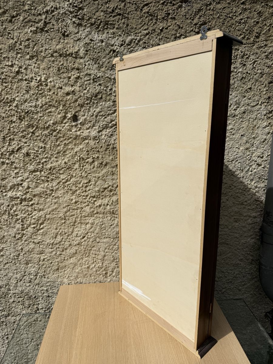 Vetrine: Holzvitrine – Usato da Wil SG venduto da Beerman 2
