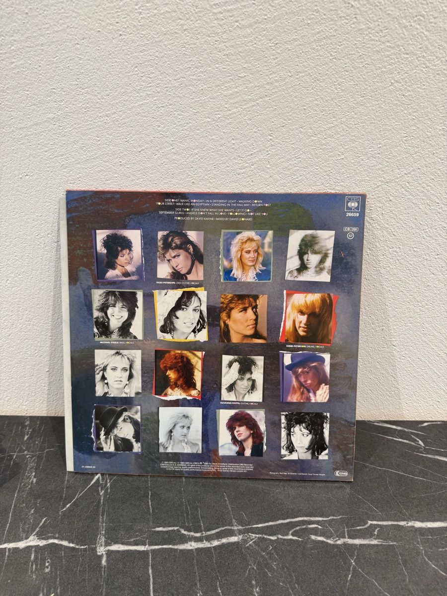 Dischi in vinile: Bangles - Differentlight – Usato da Beromünster venduto da sim_567j 2