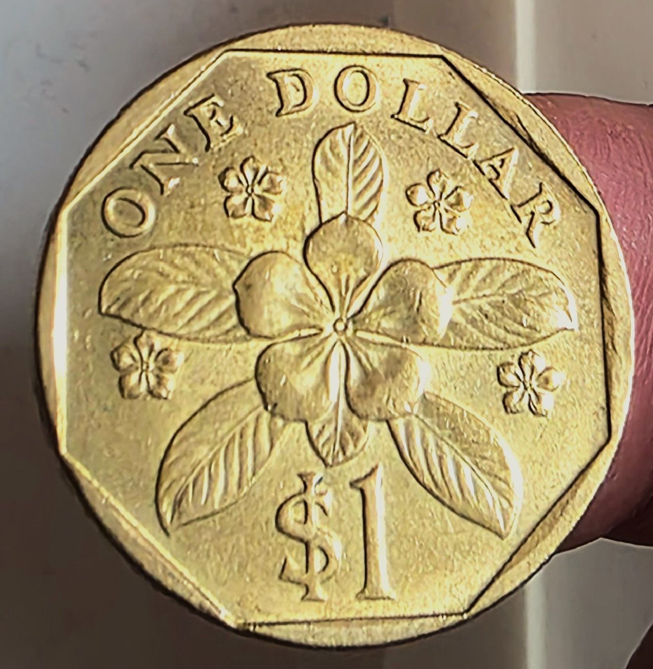 Tutti le monete: SINGAPUR 1 DOLLAR 1989 – Usato da Winterthur venduto da Creso70