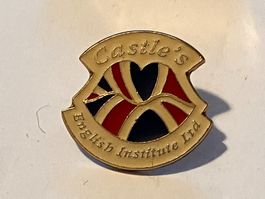 1 Pin Castle's English Institute