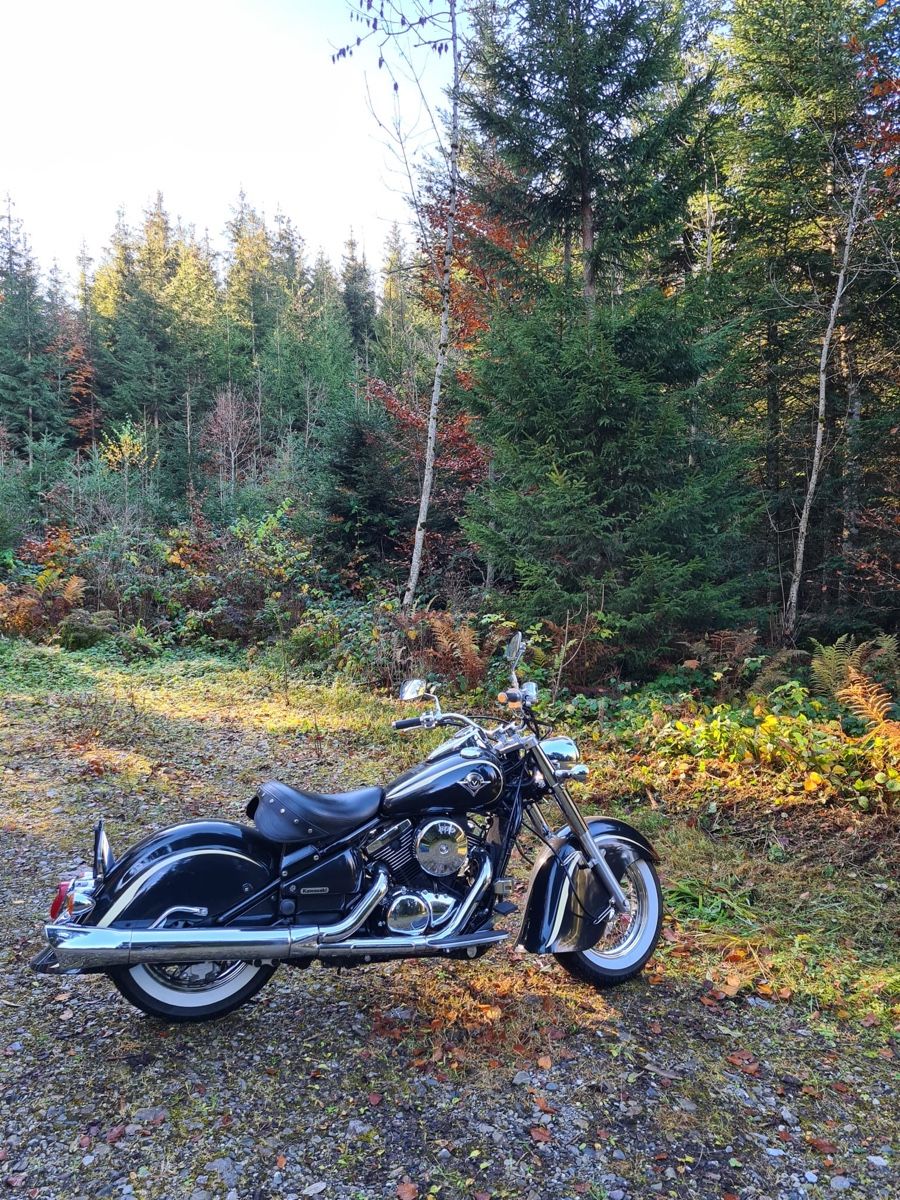 Kawasaki Chopper: Kawasaki VN 800 Drifter – Usato da Deitingen venduto da tma_88xc 2