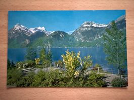 Ansichtskarte Vierwaldstättersee mit Gitschen, Urirotsto...