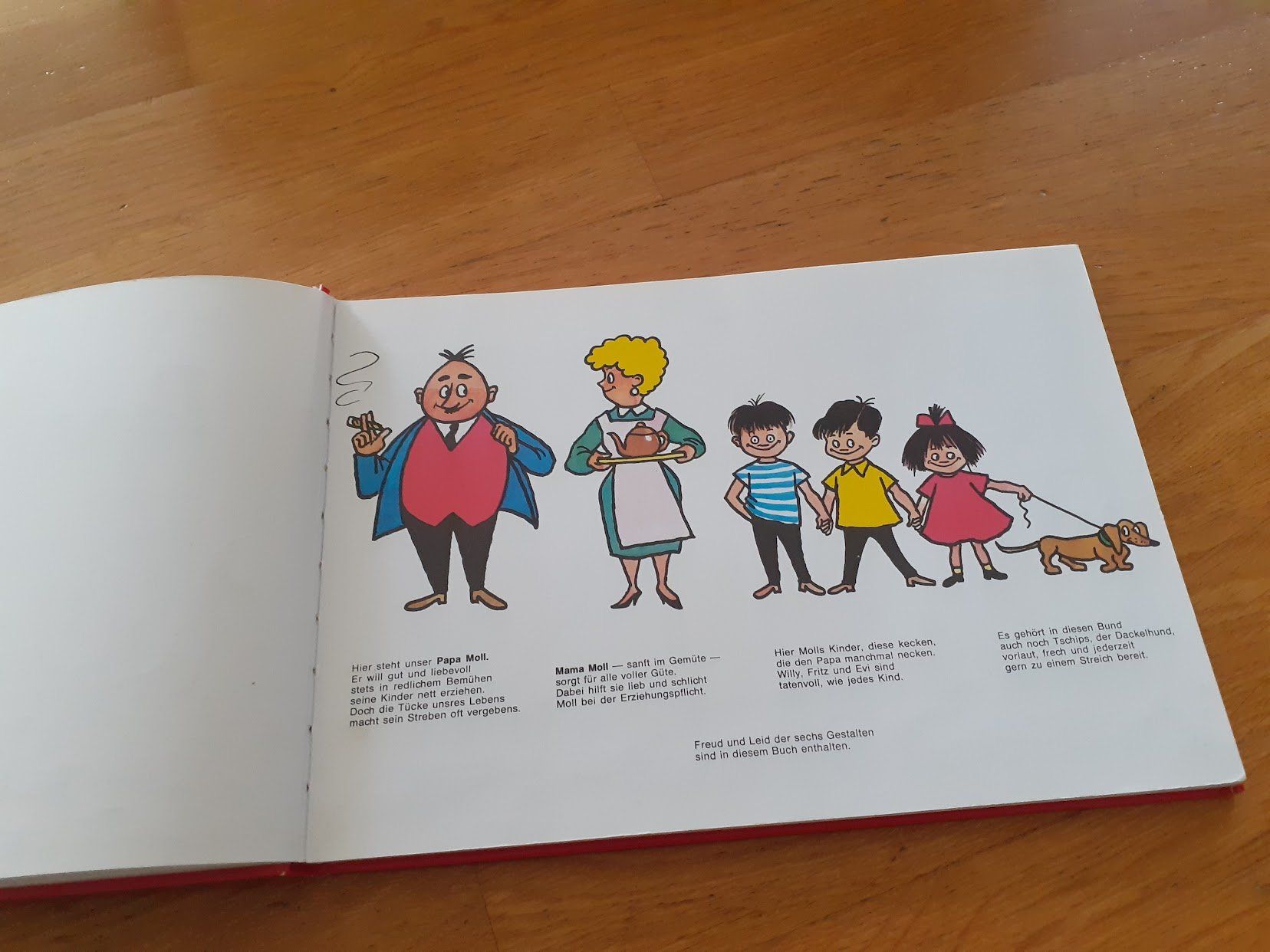 Libri: Papa Moll Band1 – Usato da Dübendorf venduto da Fip05 3