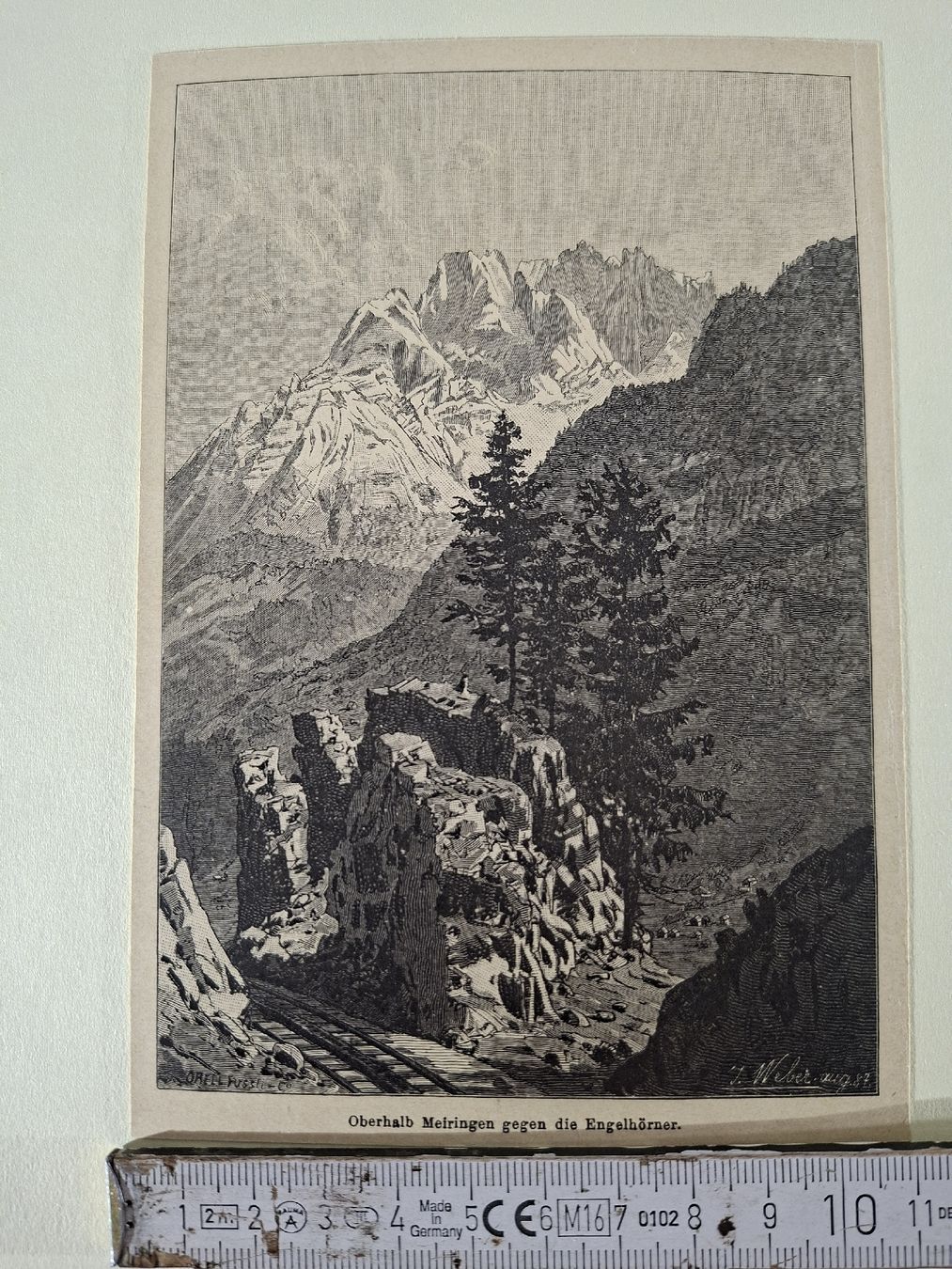 Incisioni: Lot 66 , 10 Stiche  – Usato da Grindelwald venduto da carro5 9