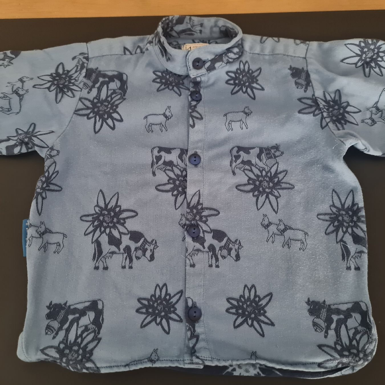 Lotti & Set di vestiti: 2 Edelweiß Hemden Gr. 92 – Usato da Steinen venduto da turbogeiss99 3