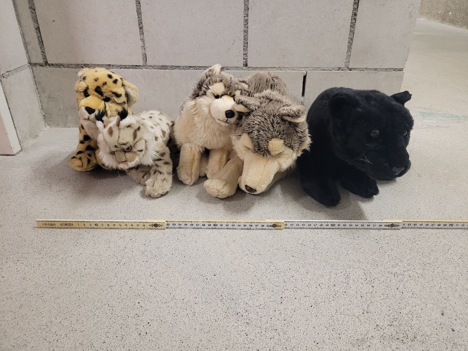 WWF Jouets: 5 Plüschtiere von WWF – Neuf (Voir description) à Ostermundigen par dua_296 1