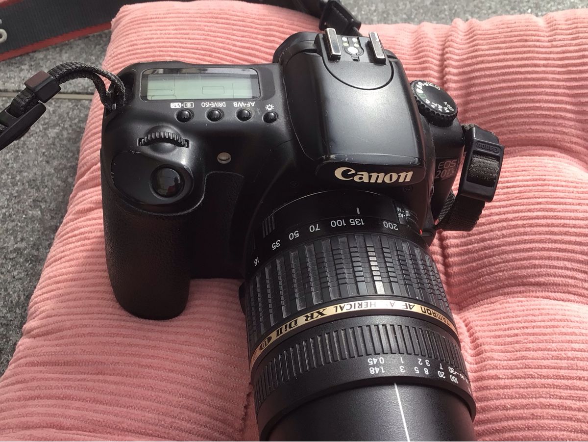 Canon Fotocamera: Digitalkamera EOS 20D Canon – Usato da Oetwil am See venduto da ifnam 1