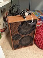 ACUS One for Strings AD Wood Verstärker