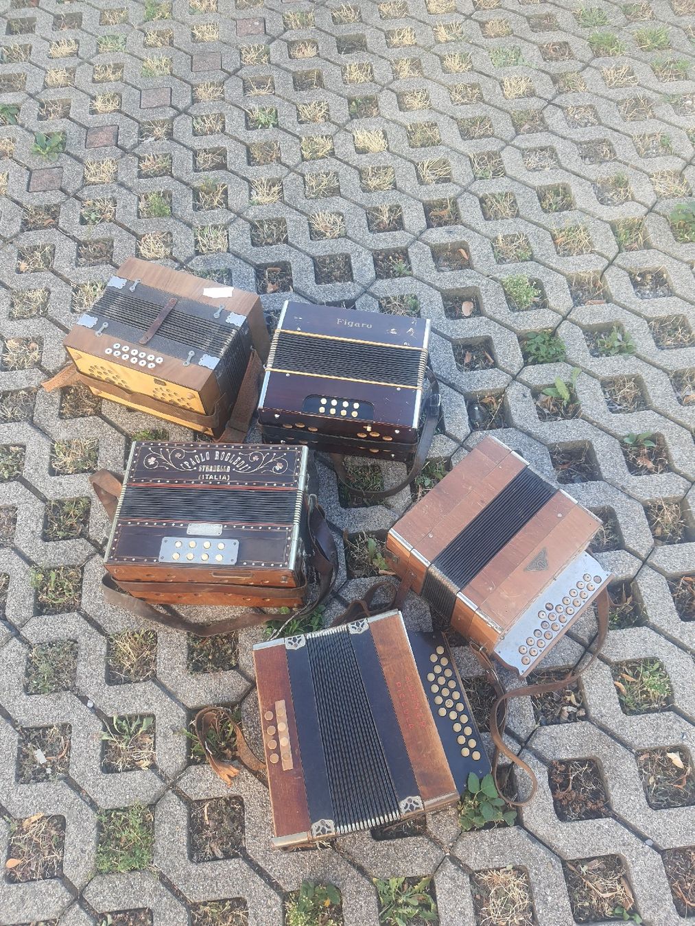 Strumenti musicali: lot de 5 accordéons diatonique  – Usato da Pont-de-la-Morge venduto da Mirabelle0 7