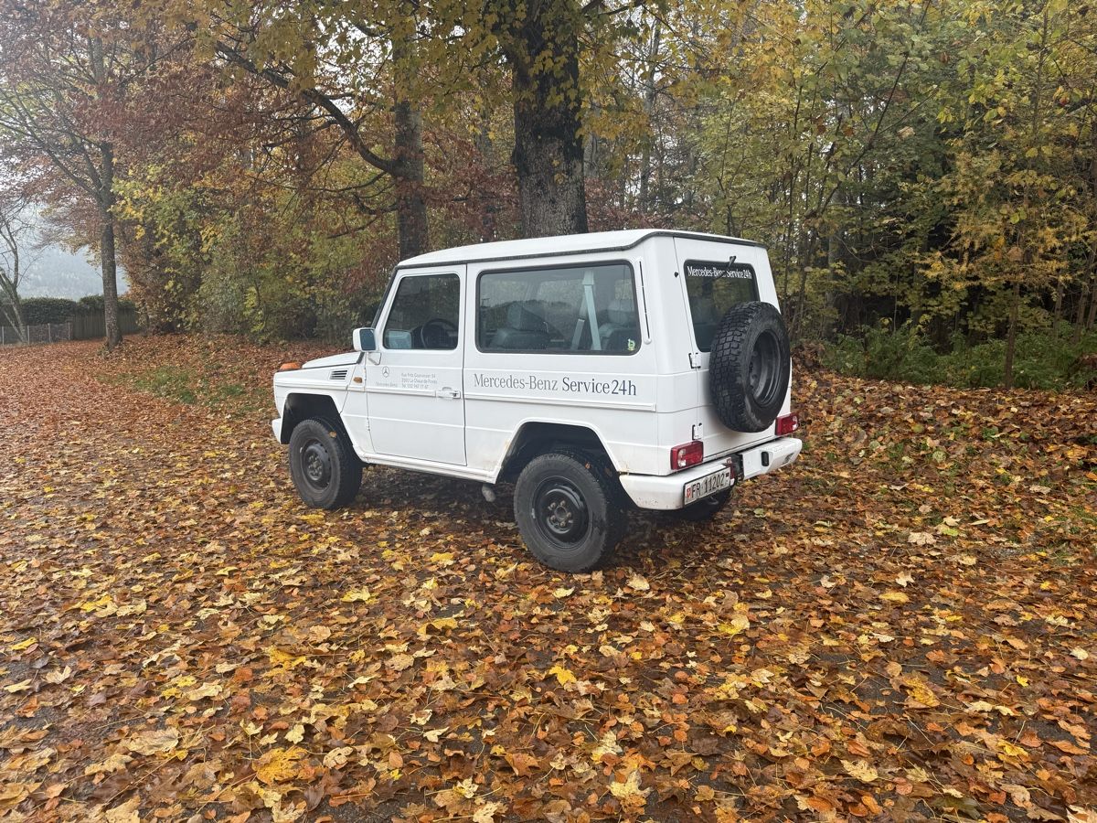 Puch Automobili: G Klasse 300 GSE – Usato da Brünisried venduto da Blau113 2