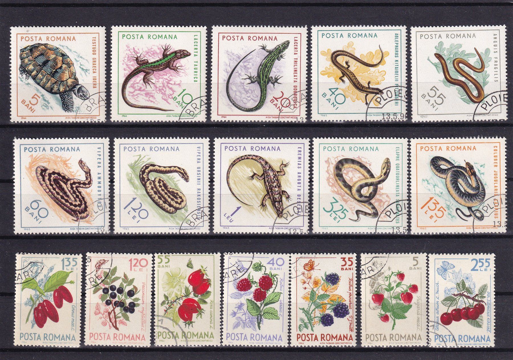 Tutti i francobolli: Briefmarkenlot Posta romana – Usato da Birsfelden venduto da chr_yq2g