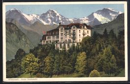 AK Wilderswil, Hotel Schönbühl, 1930