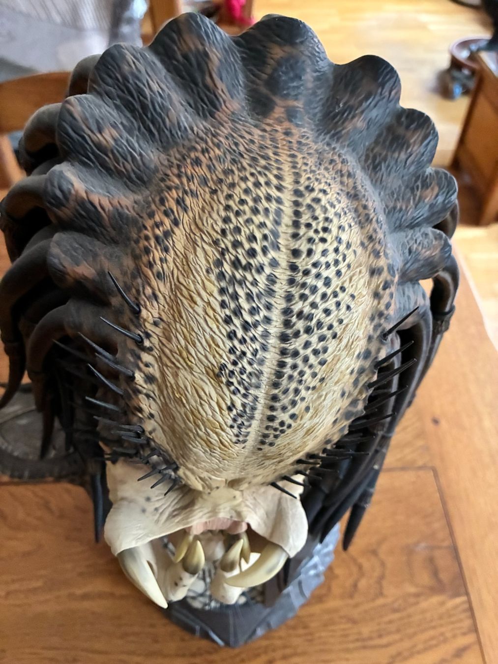 Statuette: Predator Legendary Scale Bust - Sideshow Collectibles – Usato da Vevey venduto da zecollector 4