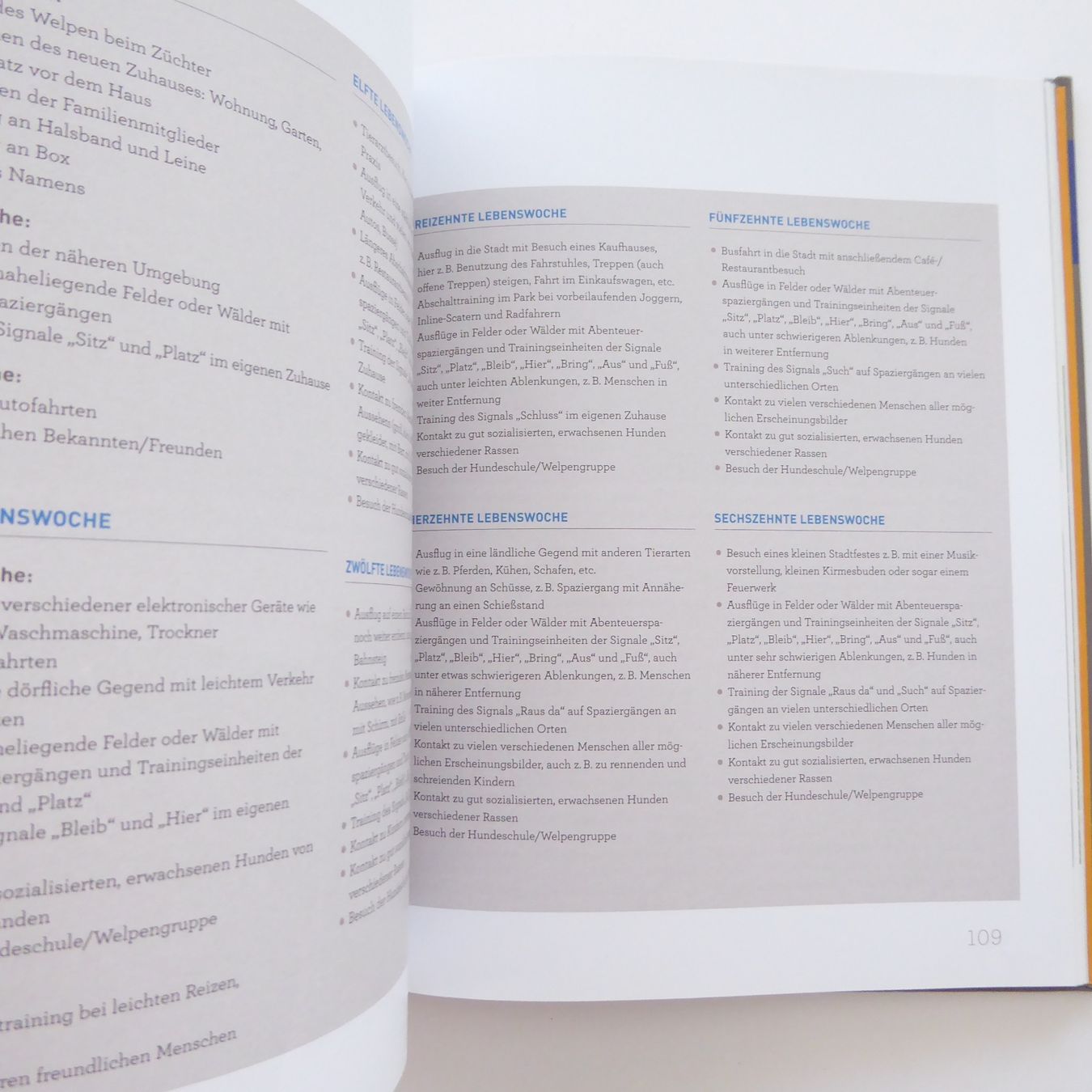 Libri: Welpentraining mit Martin Rütter – Usato da Basel venduto da Kunterbunt12 5