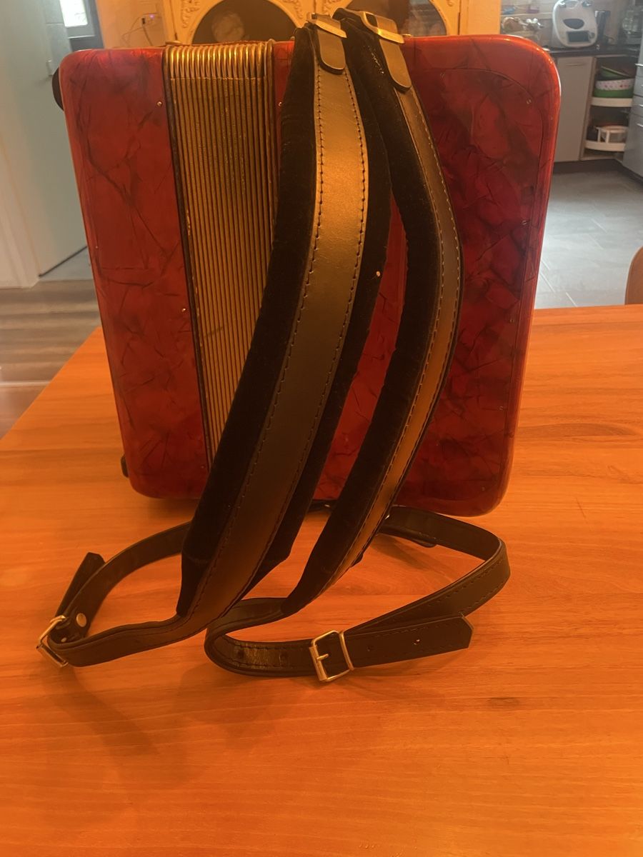 Hohner Instruments de musique: Hohner Accordina III – D'occasion à Altstätten SG par Nik2009 3