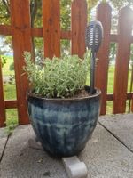 Blumentopf