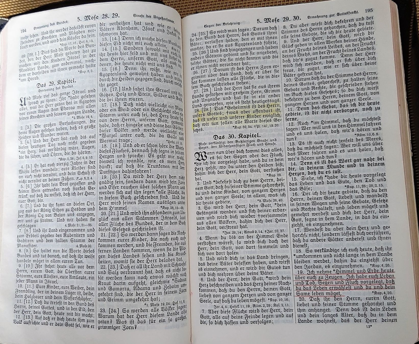 Libri: Bibel Wien 1951 – Usato da Zürich venduto da Zurich 4