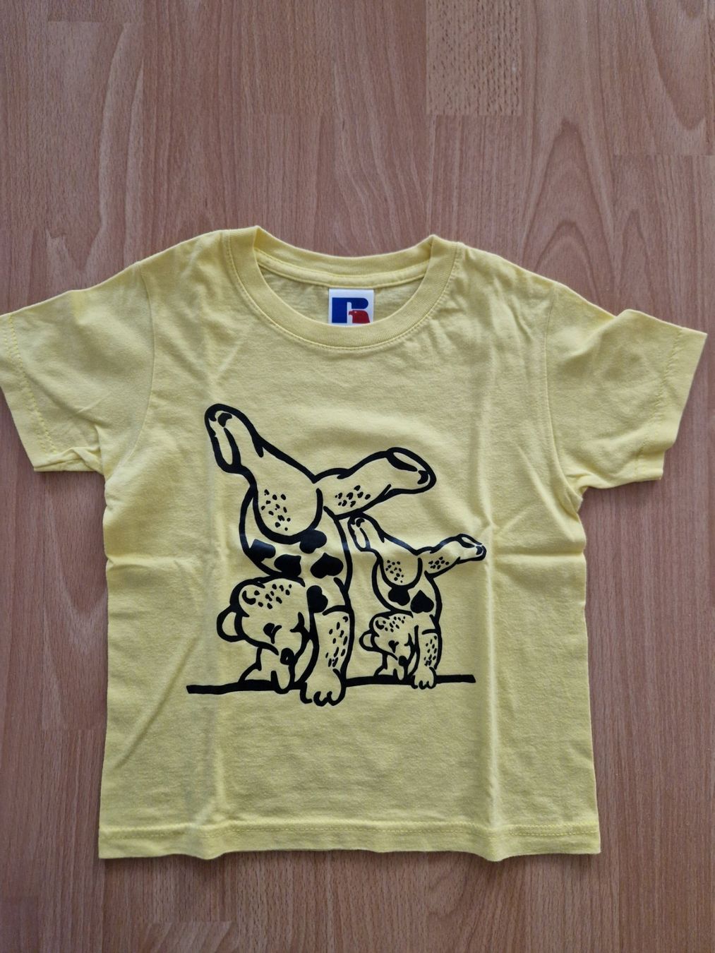 Camicette, T-shirt & Top: T'Shirt – Usato da Wetzikon ZH venduto da Koalawomb08 3