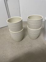 4 Orchideentöpfe