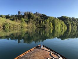 Fotografieren auf dem Wohlensee