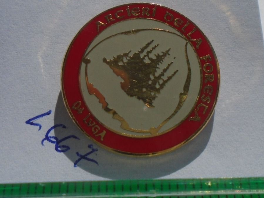 Plaketten & Abzeichen: 1 Schöner Pin (L667) – Gebraucht aus Winterthur von Beli2000