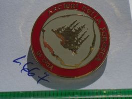 1 Schöner Pin (L667)