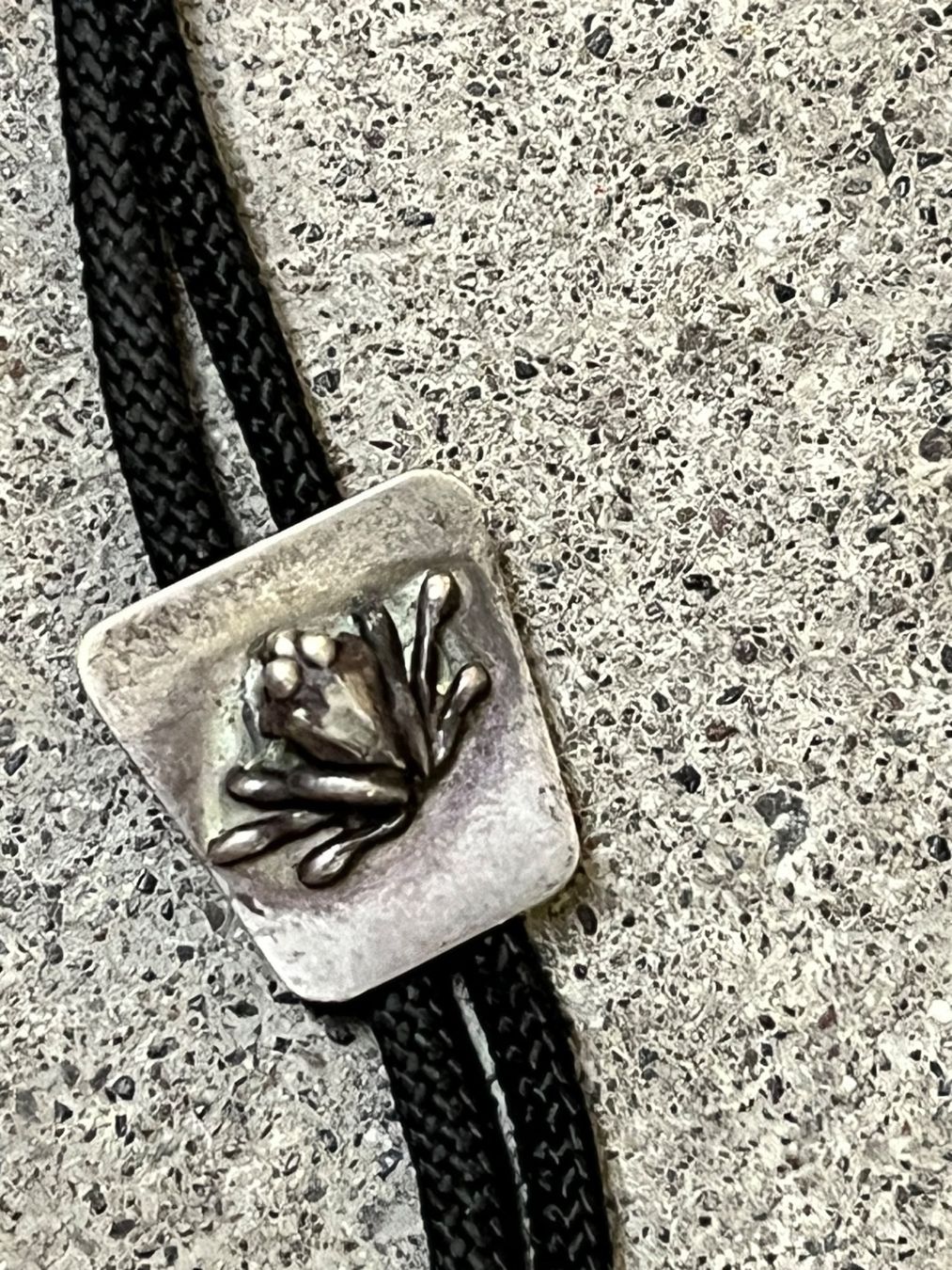 Cravatte: Bolo Tie Frosch – Usato da Zürich venduto da engebrunau