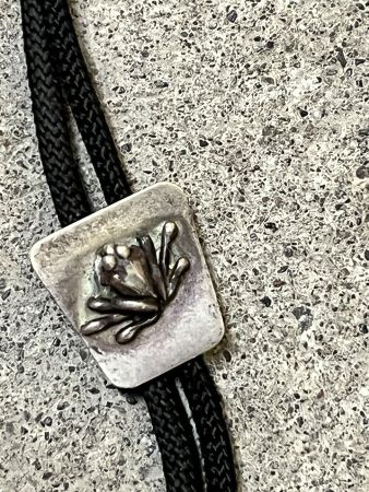 Bolo Tie Frosch