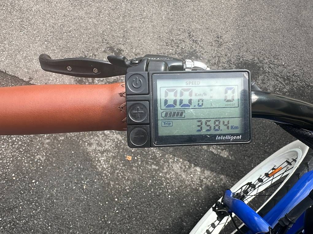 Biciclette: Fatbike électrique type Lady Gorille – Usato da Aire-la-Ville venduto da alo_5grh 1
