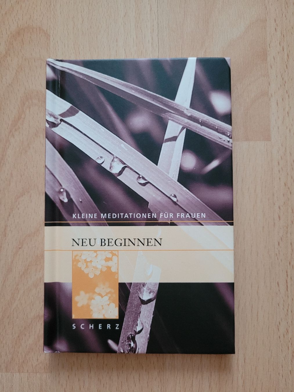 Libri: neu beginnen – Usato da Perlen venduto da Safari_23