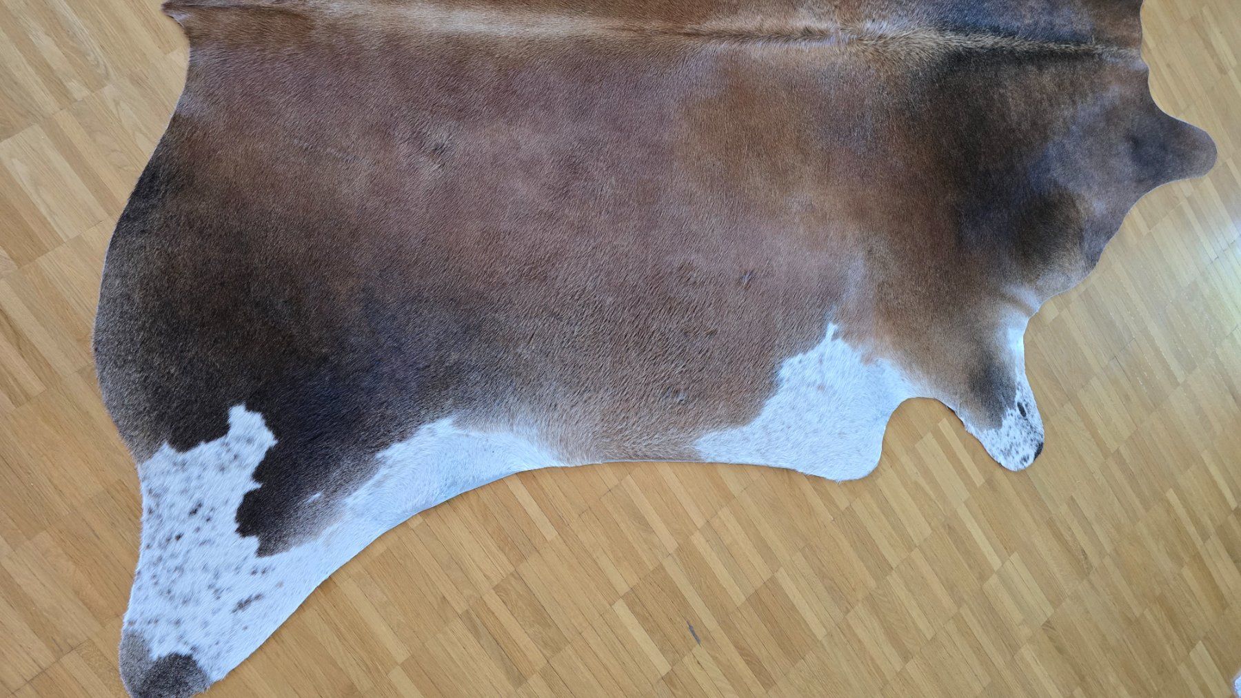 Tappeti: Kuhfell Mahagony reddish – Usato da Uster venduto da proshka74 5