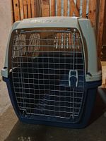 Grande caisse pour chien