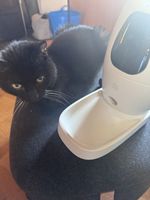 Wellcraft Smart Pet Feeder Futterautomat weiss gebraucht