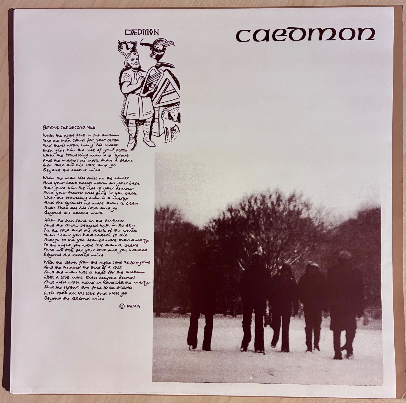 Dischi in vinile: Caedmon - Caedmon, RI von 1994 aus UK – Usato da Buchberg venduto da ICM-Tapefan-1961-MCS 2