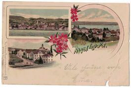 Gruss aus Maennedorf, gelaufen 1901